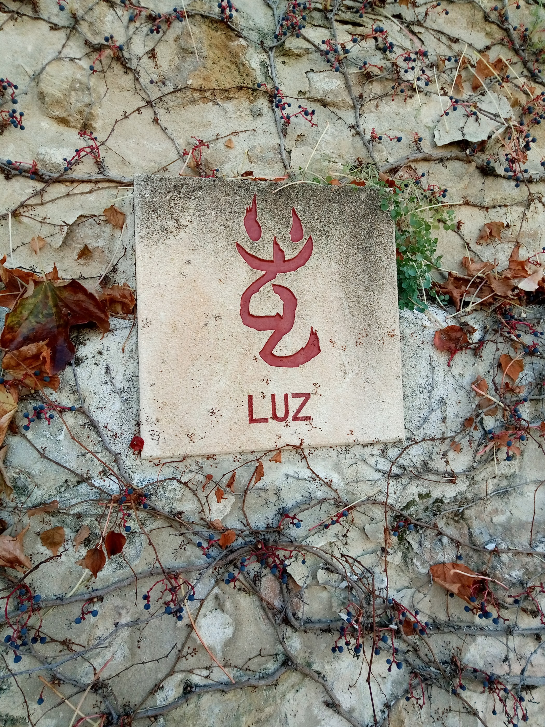 20181128_1211 P81128-121103.jpg