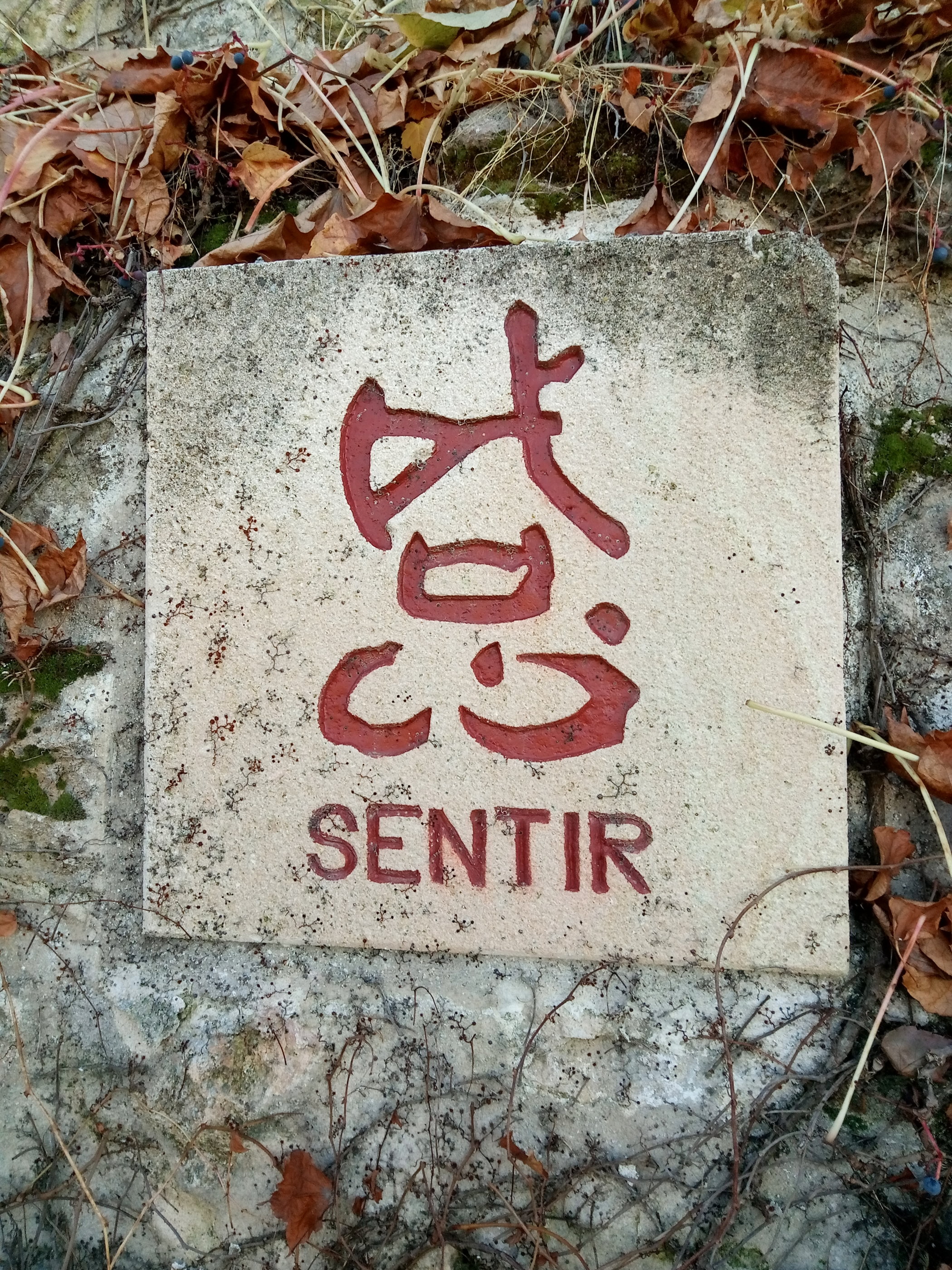 20181128_1211 P81128-121116.jpg