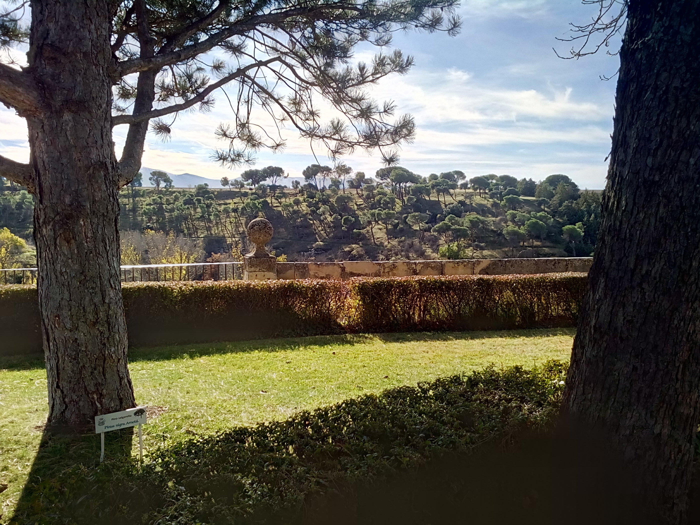 20181128_1233 IMG_20181128_143344.jpg