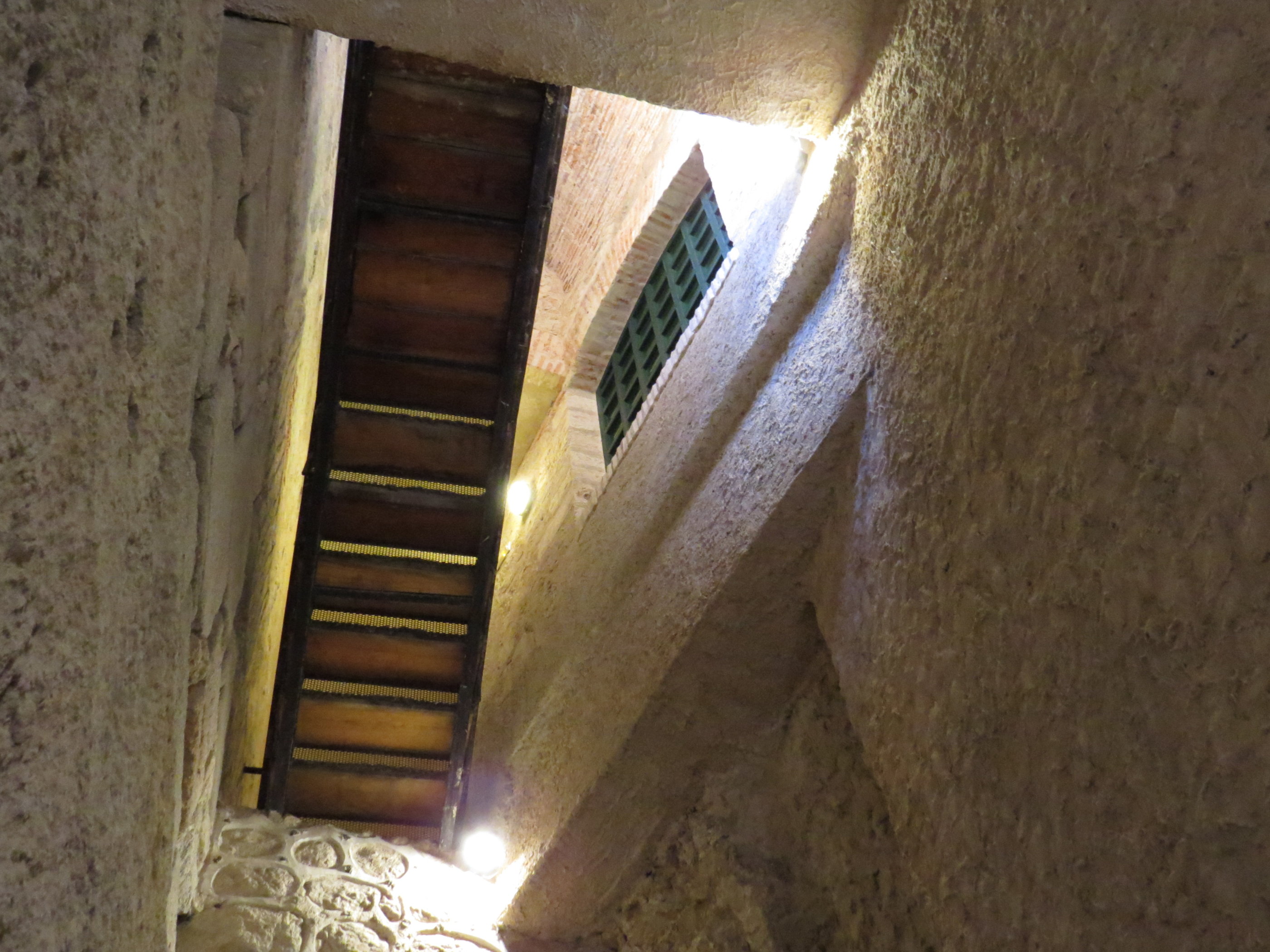 20181128_1248 IMG_4199.JPG