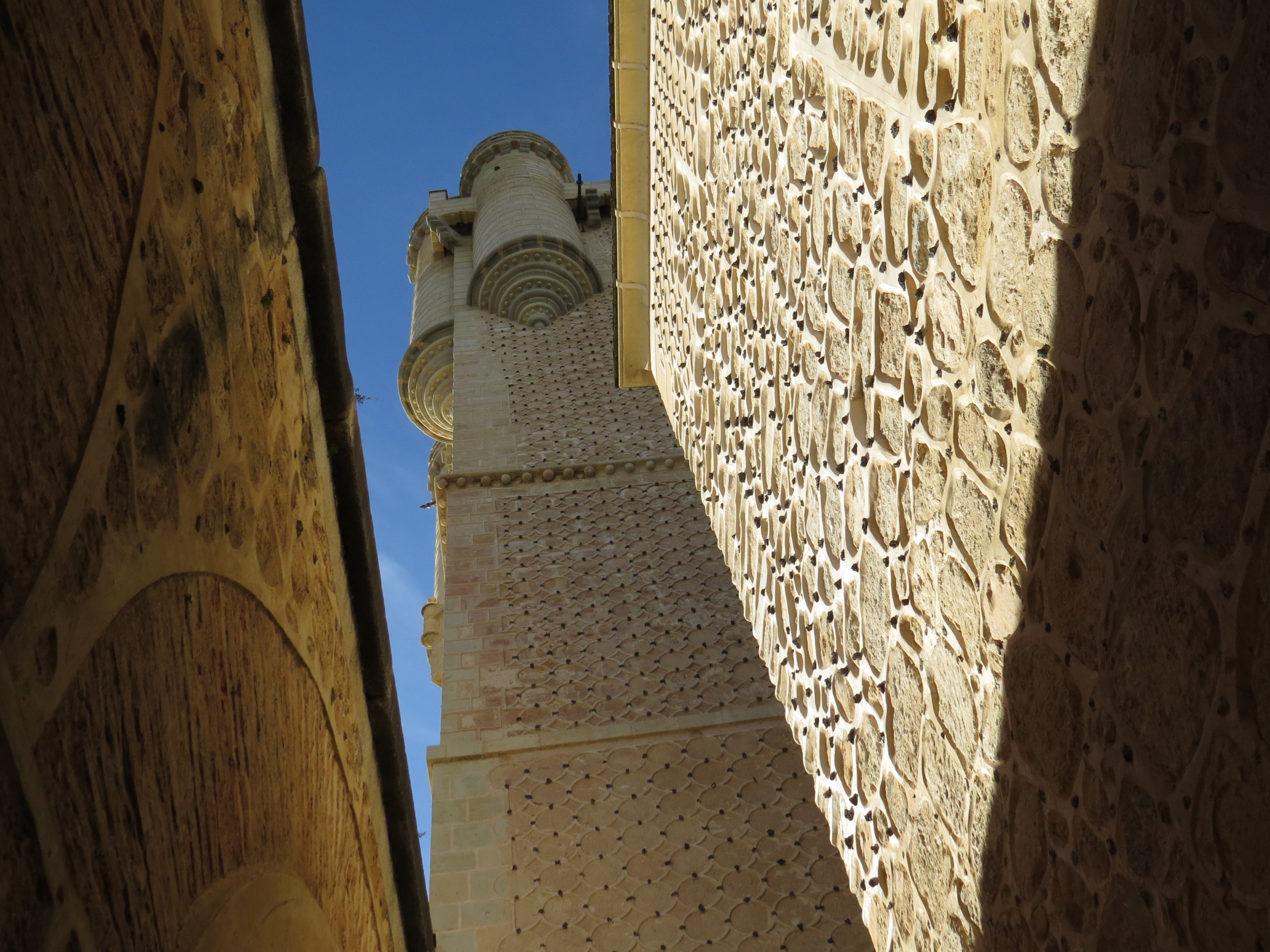 20181128_1250 IMG_4201.JPG