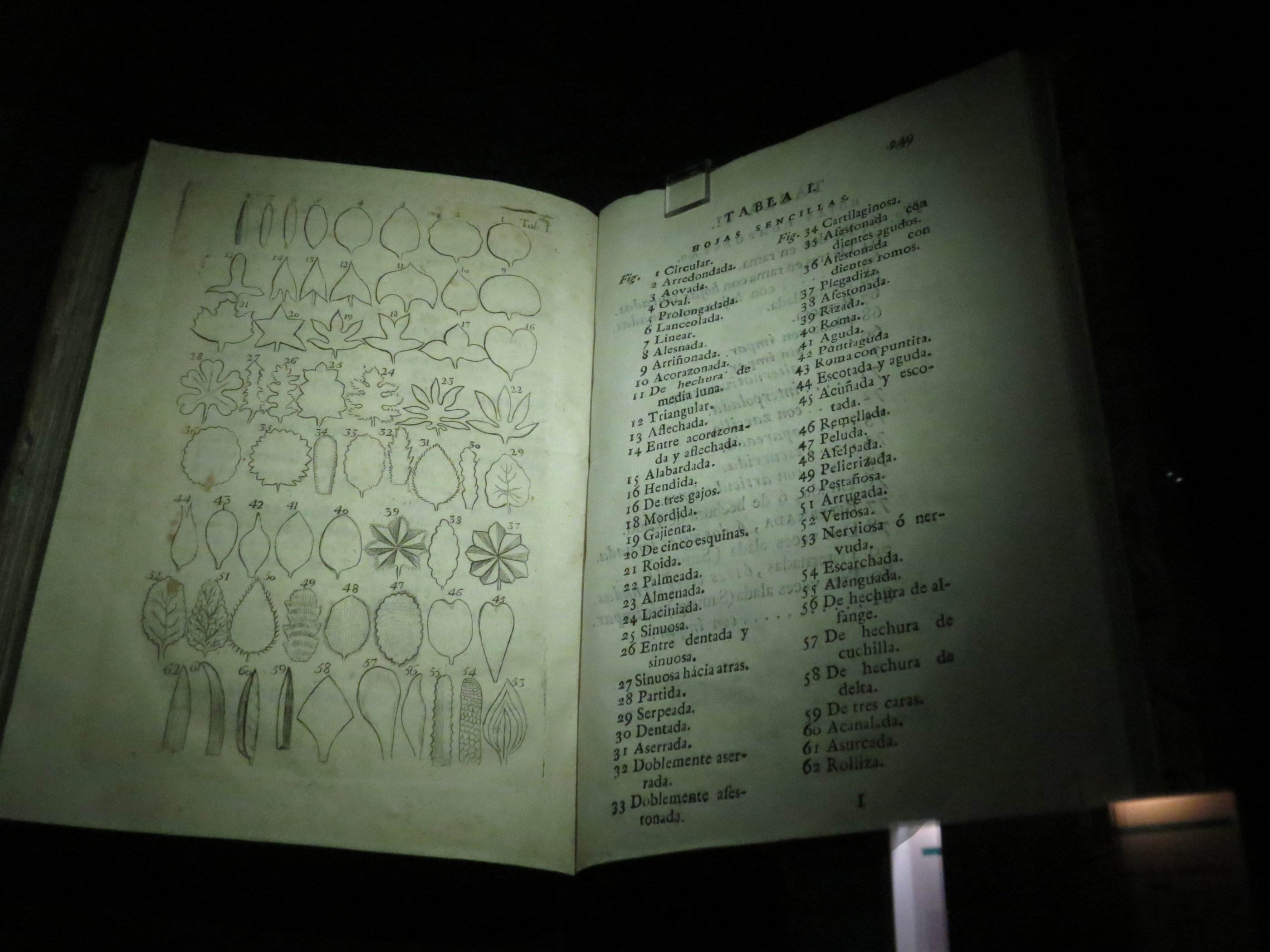 20181128_1322 IMG_4246.JPG