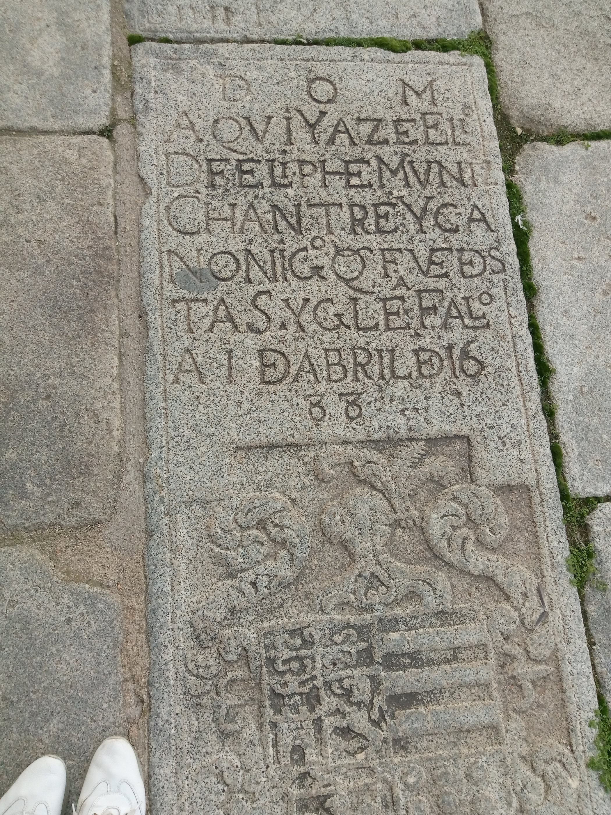 20181128_1423 P81128-142319.jpg