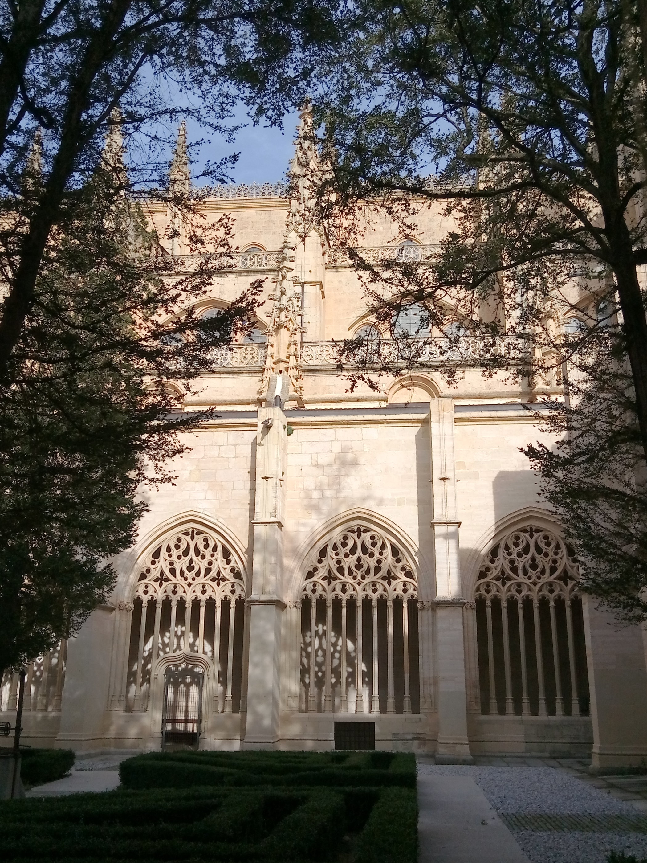 20181128_1451 P81128-145157.jpg