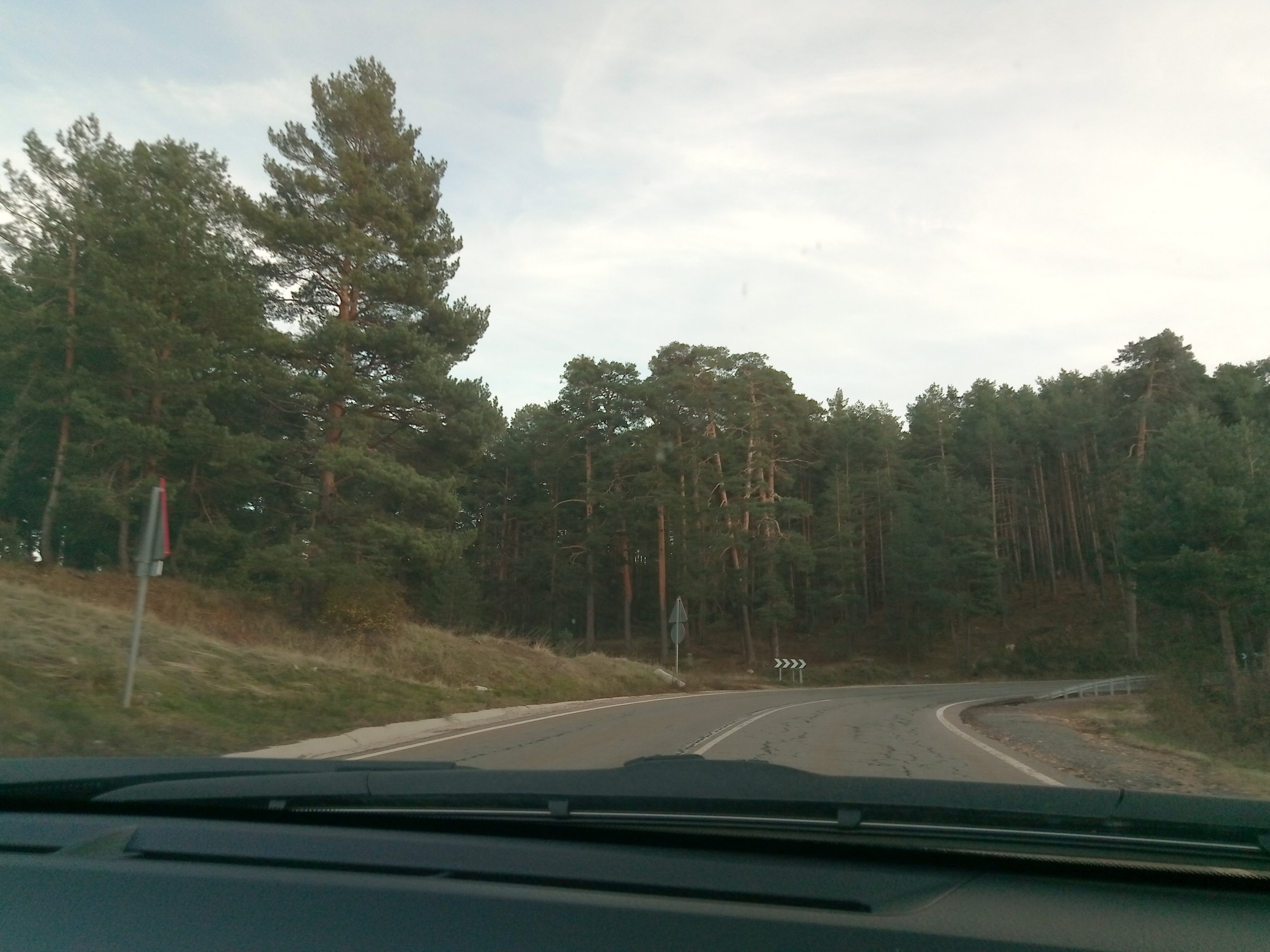 20181128_1717 P81128-171752.jpg