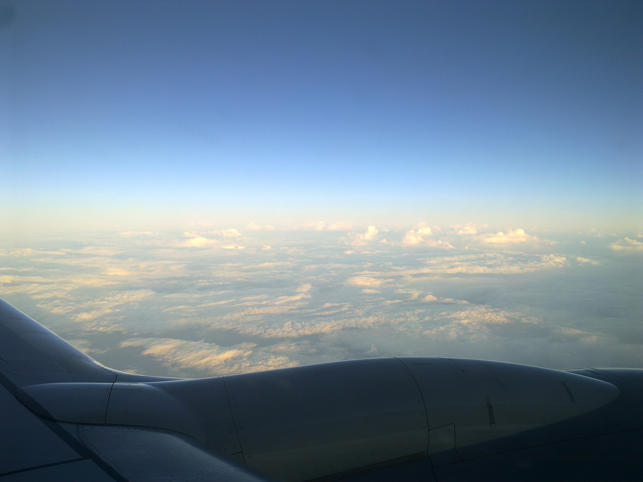 20181130_0831 301120182587.jpg