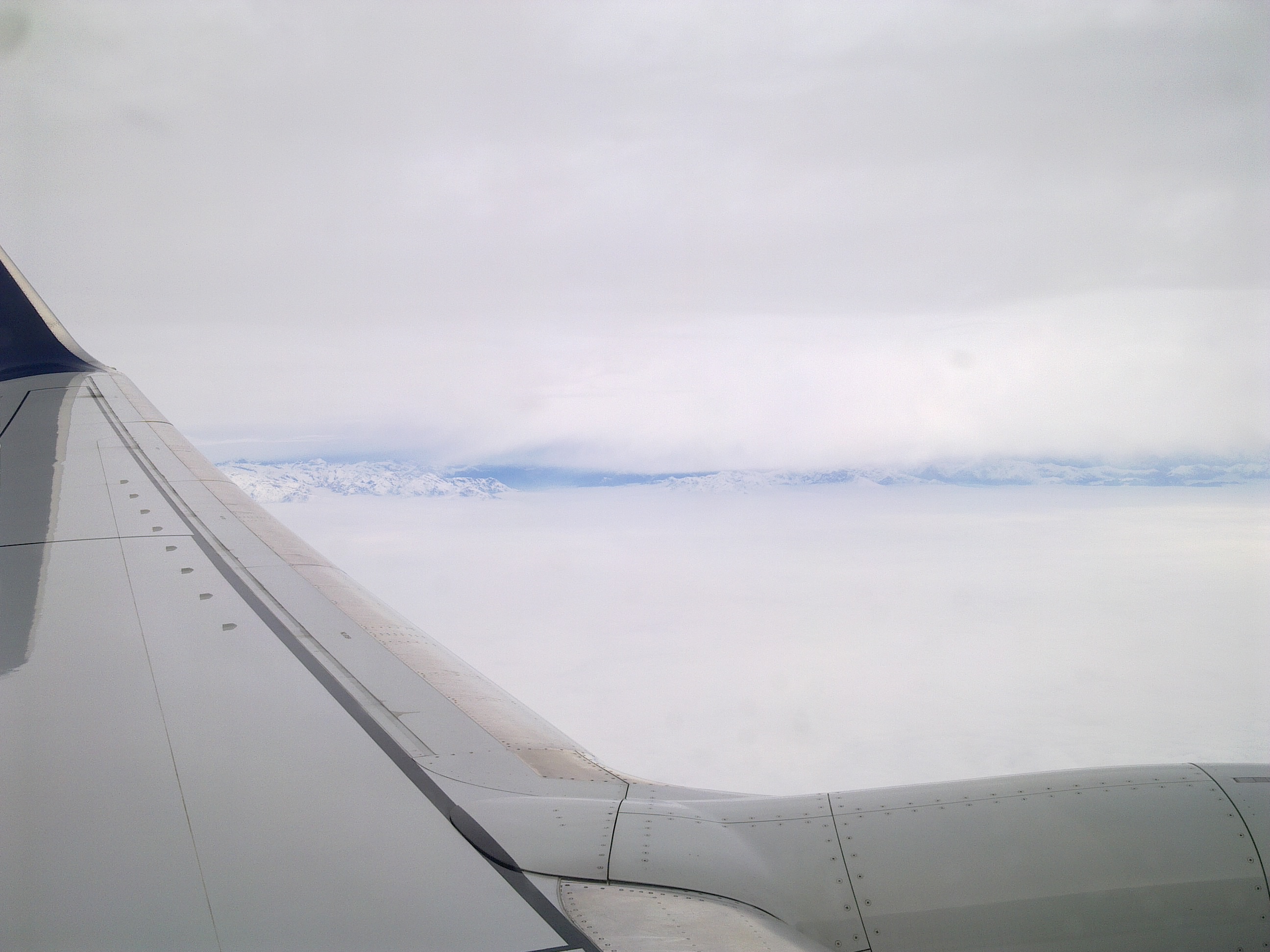 20181130_0927 301120182589.jpg