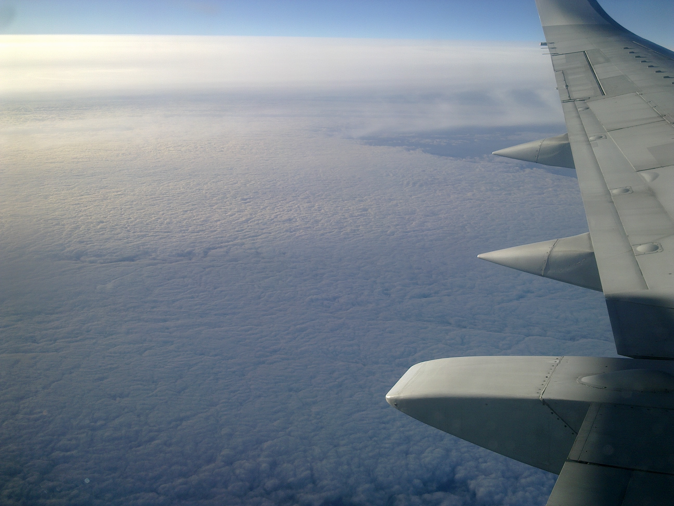 20181130_1440 301120182592.jpg