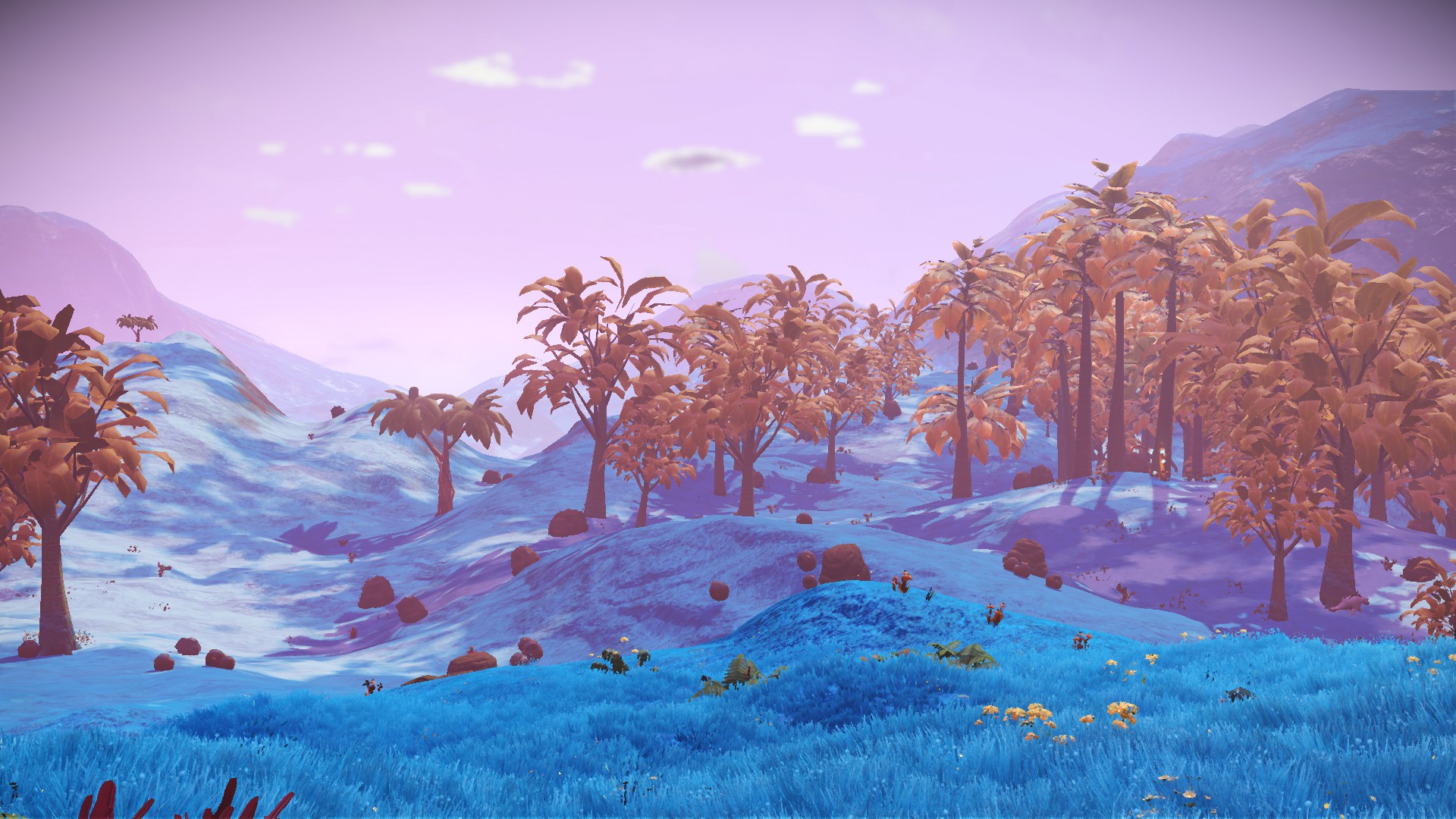 20230925045427_1.jpg