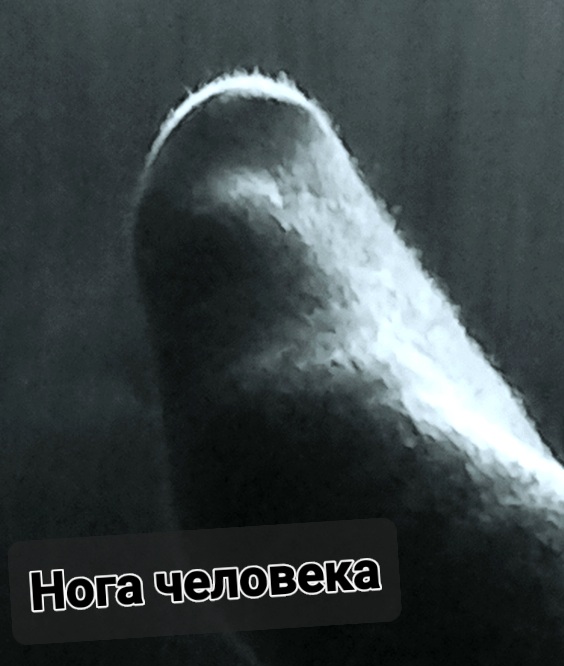 20260603_213418.jpg