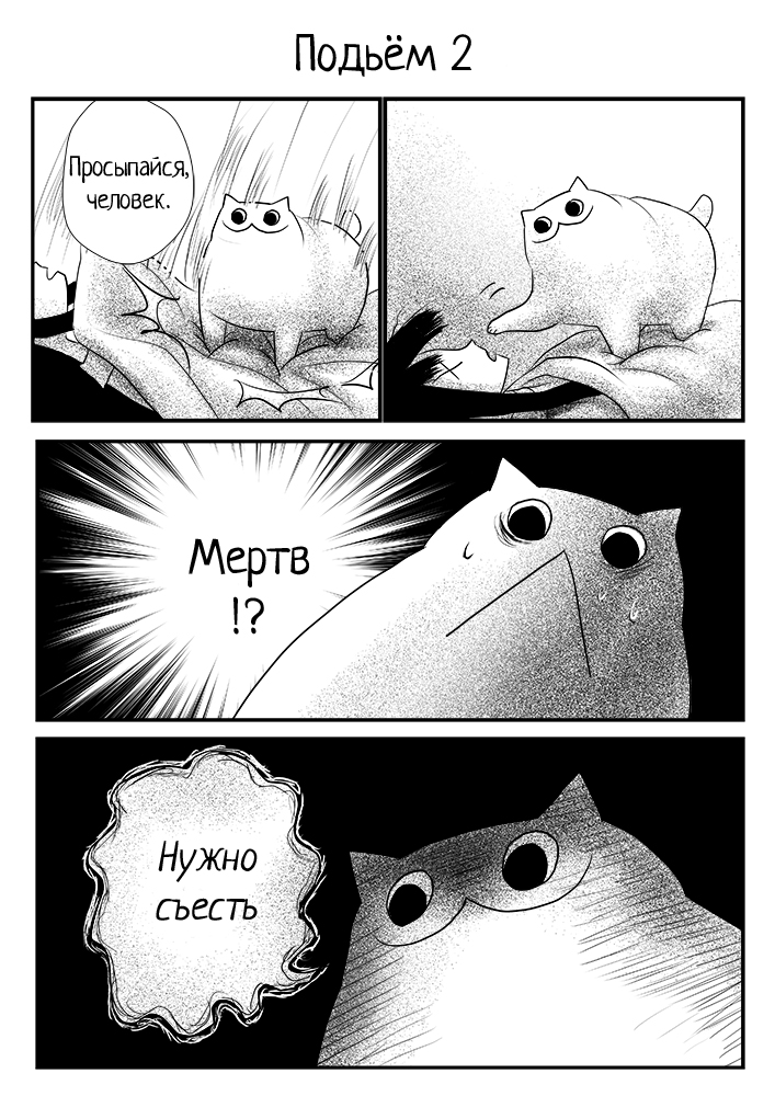 54796101_p0 копия.jpg