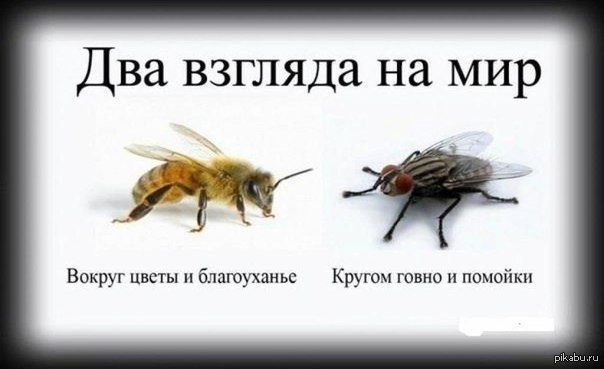 acs.pikabu.ru_post_img_2013_04_27_6_1367046702_1361074289.jpg