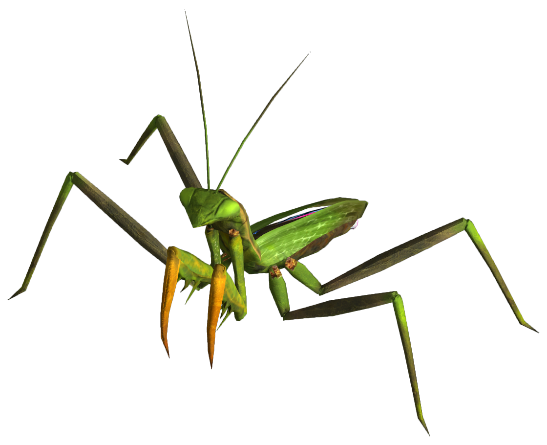 astatic_wikia_nocookie_net_fallout_images_e_eb_Giant_mantis_pn591ded51ee5e463efc2c4054166c9eec.png