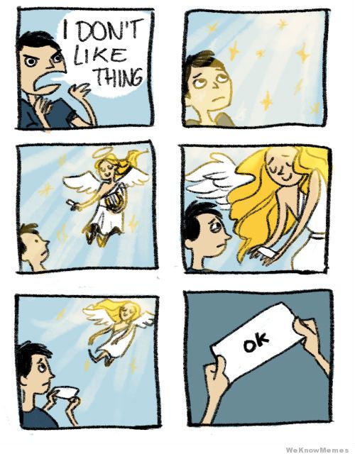 aweknowmemes.com_wp_content_uploads_2013_05_i_dont_like_thing_ok.jpg