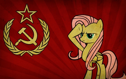 awww.allmystery.de_i_t1dee87_t9c33c4_t1df8ca_soviet_pony_ussr_my_litt.jpg