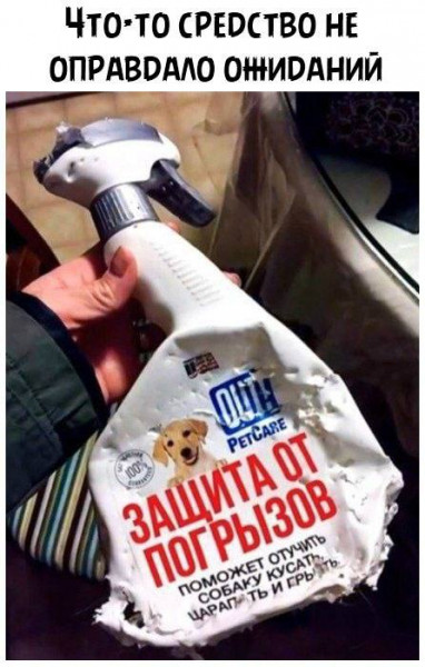 awww.anekdot.ru_i_caricatures_normal_23_10_22_zashhita_ot_pogryzov_82573.jpg