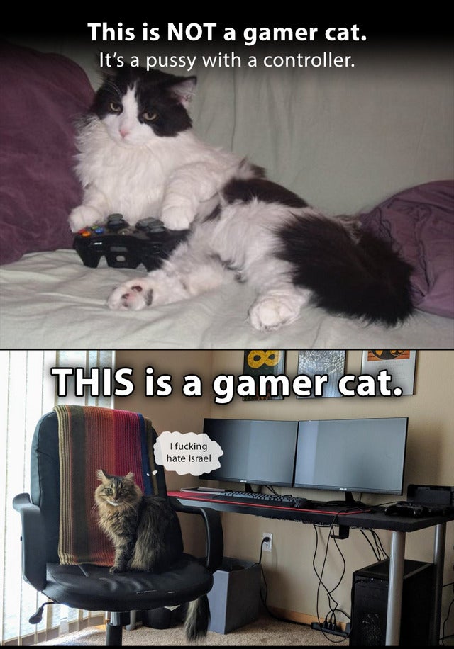 D8M7N7JX4AAZHcH.jpg large.jpg