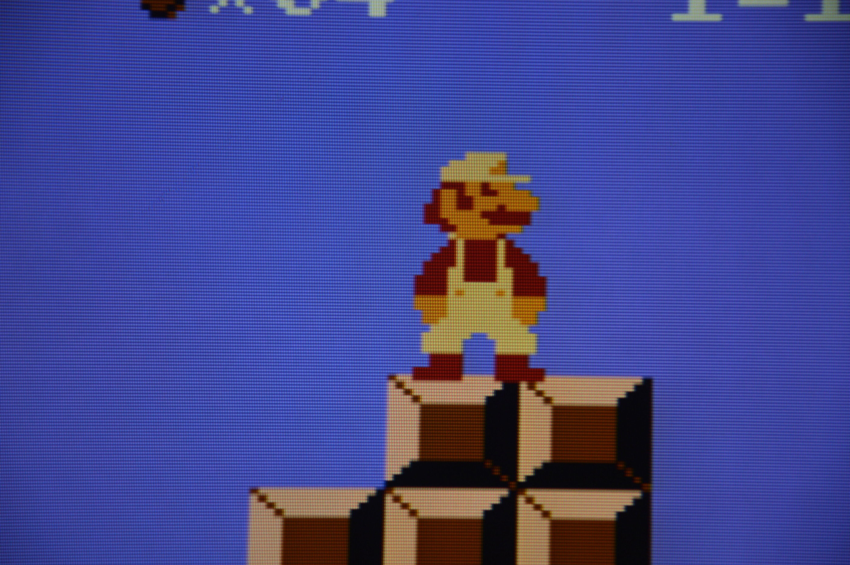 DSC_0576 2.jpg~original.jpg