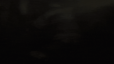 Eddie.gif