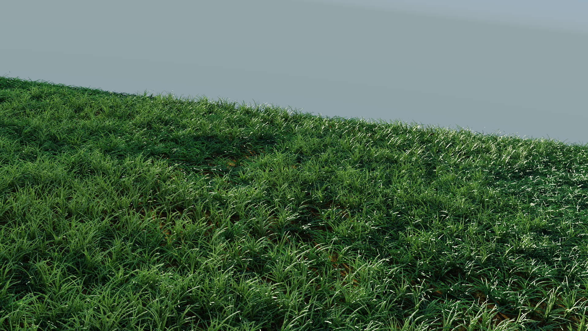 grass10.png