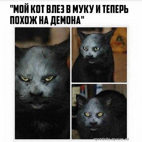 hvWl F 69Gg-spaces.ru.jpg