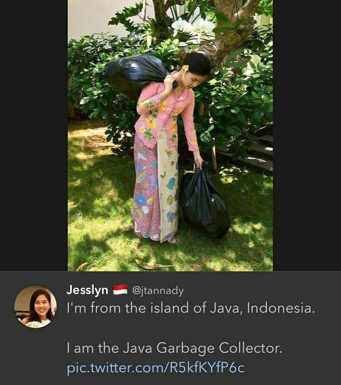 java.jpg