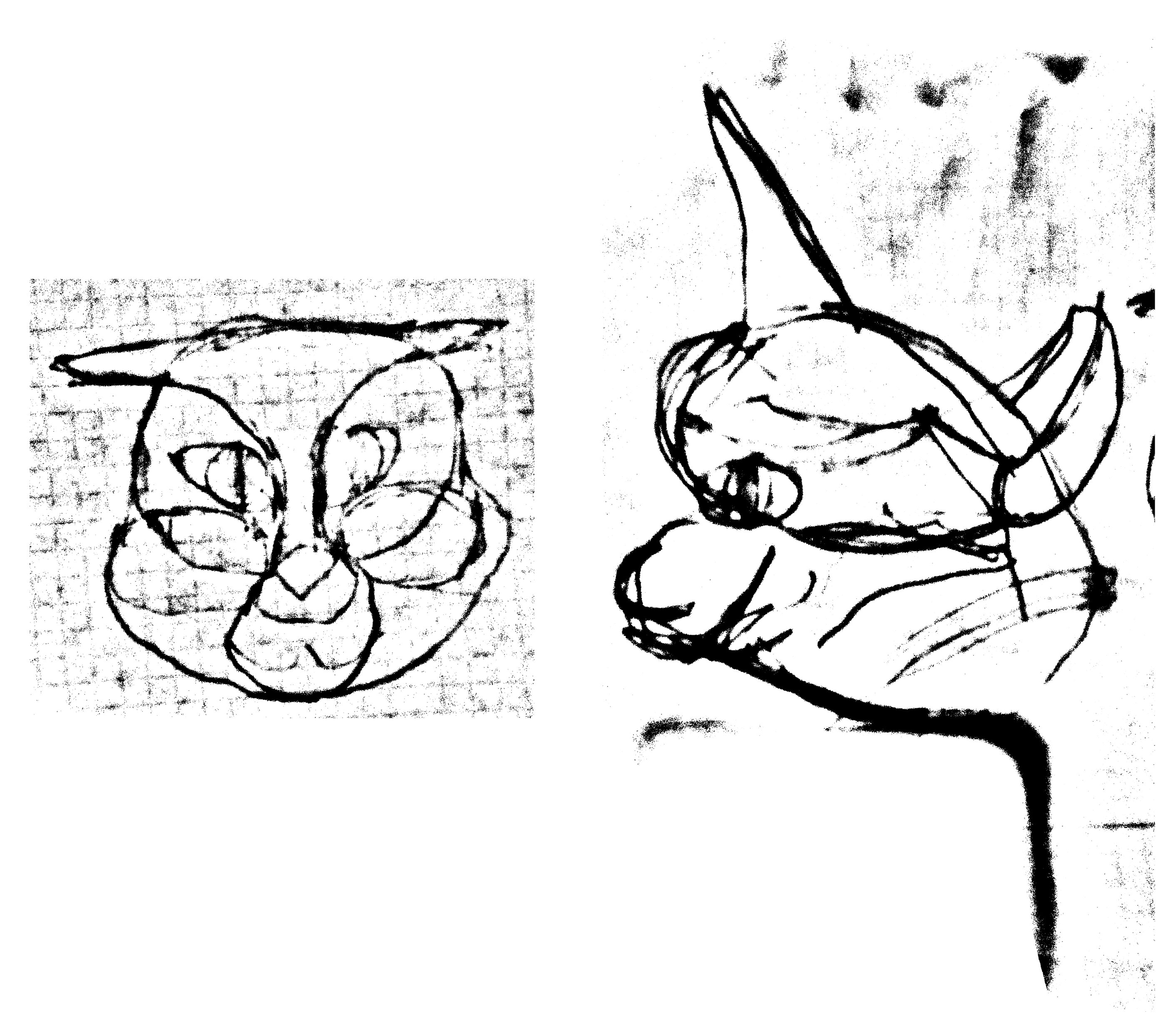 кота рисовал.jpg