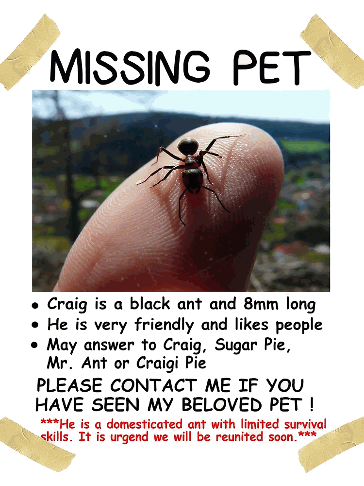 missingpet_craig_ant.png