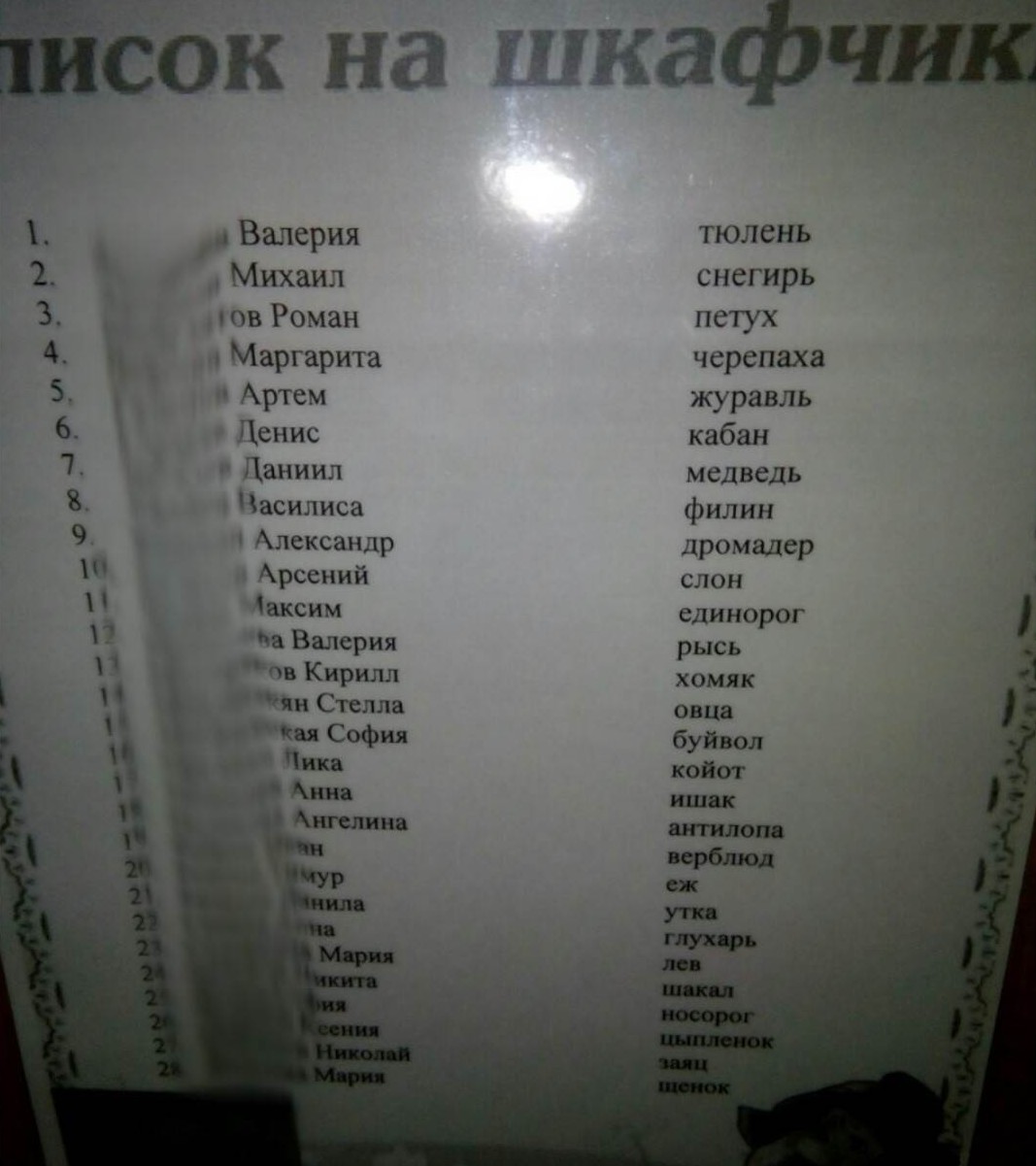 ну ты понел.jpg