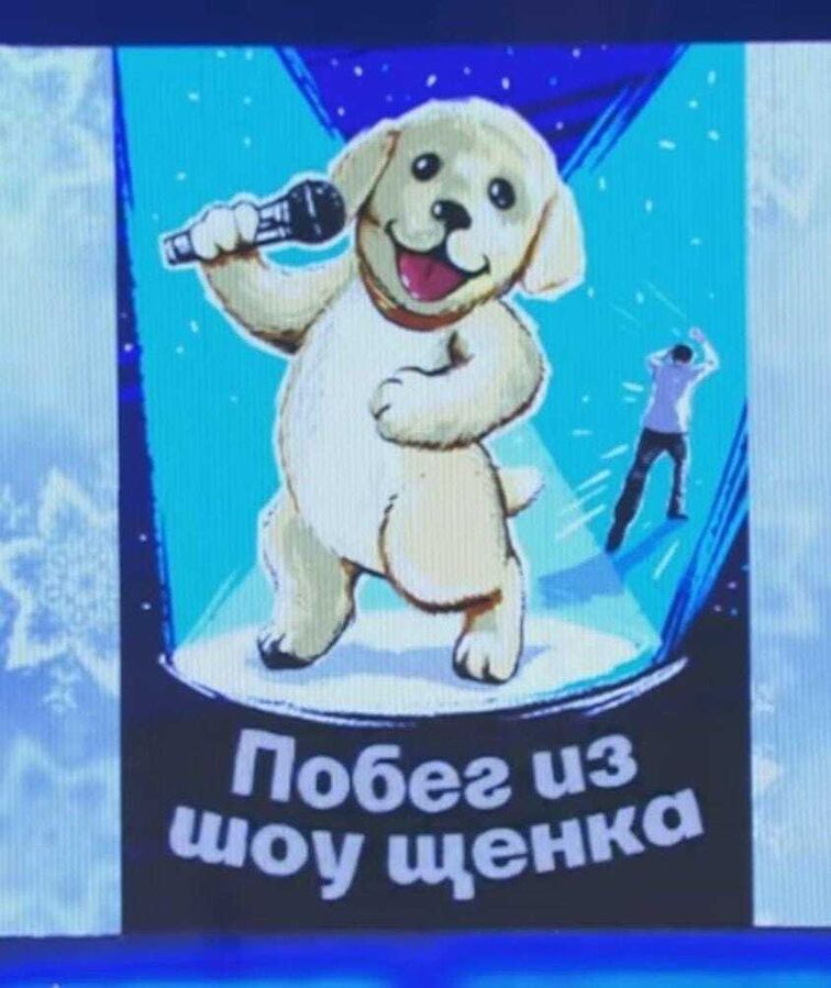 Побег из шоу щенка.jpg