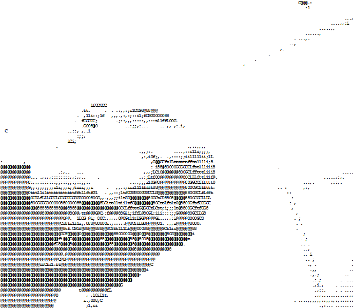Screenshot_2018-08-13 ascii camera.png