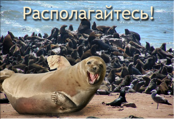 Seal.png