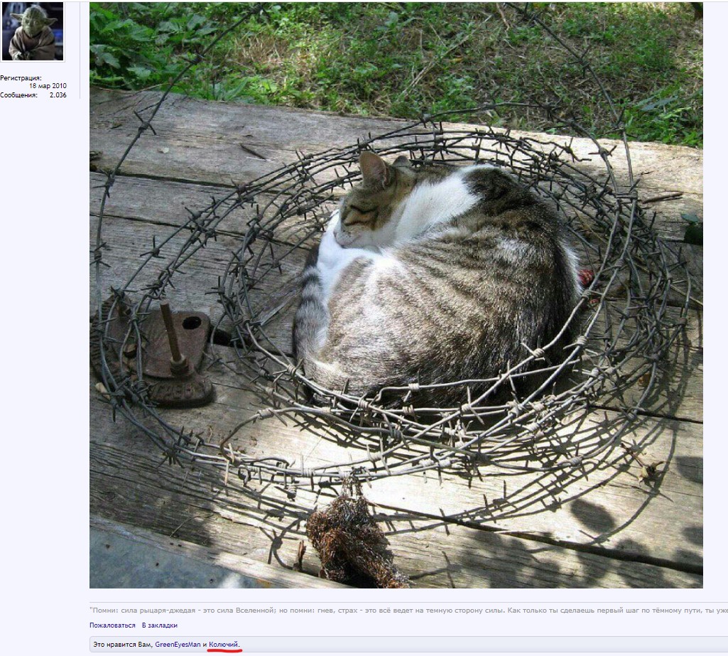 Снимок экрана 2021-03-01 154700.jpg