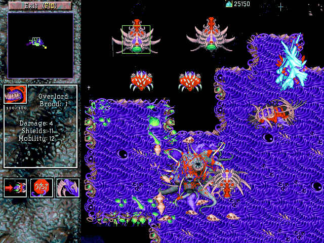 starold1.gif