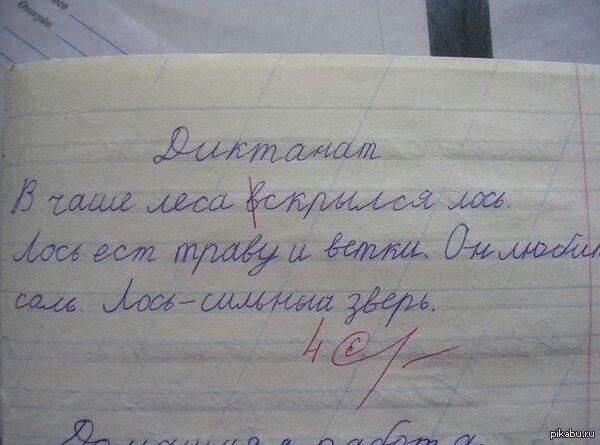 В чаще леса вскрылся лось.jpg