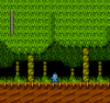 Megaman II (E) [!]_013.png
