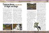 MF_Special_N06_Game_pages_06.jpg
