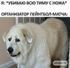Без названия.jpeg