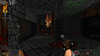Wolfenstein 3D Screenshot 2022.05.06 - 09.50.58.06.png