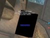 UT bug 1.jpg