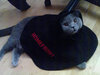 DSC00549.jpg