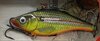 Lure1.jpg
