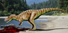 Ceratosaurus_NT.jpg
