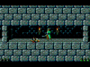 16730036-prince-of-persia-fm-towns-great-get-a-sword-next-time-big-dope.png