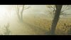 Ghost of Tsushima_20260507180638.jpg