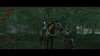 Ghost of Tsushima_20260511081354.jpg