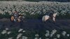 Ghost of Tsushima_20260531111336.jpg