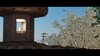 Ghost of Tsushima_20260613092553.jpg