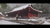 Ghost of Tsushima_20260614110652.jpg