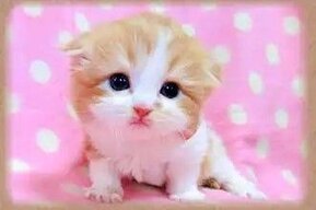 yuta_chann